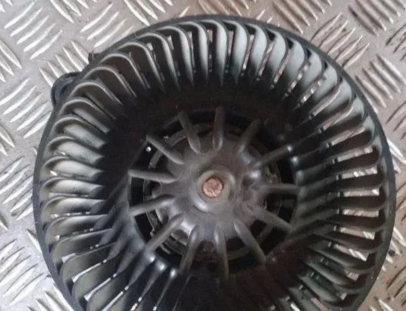 PEUGEOT 406 1 generation (1995-2004) Belső hűsugárzó 32009875