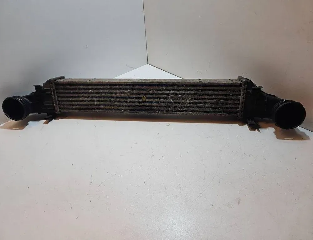 MERCEDES-BENZ E-Class W211/S211 (2002-2009) Feltöltőlevegő-hűtőrács A2115001102 31060983