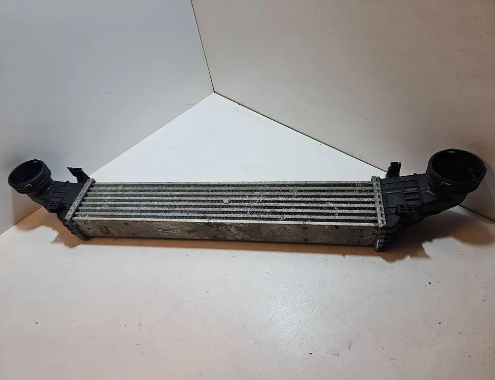 MERCEDES-BENZ E-Class W211/S211 (2002-2009) Feltöltőlevegő-hűtőrács A2115001102 31061295