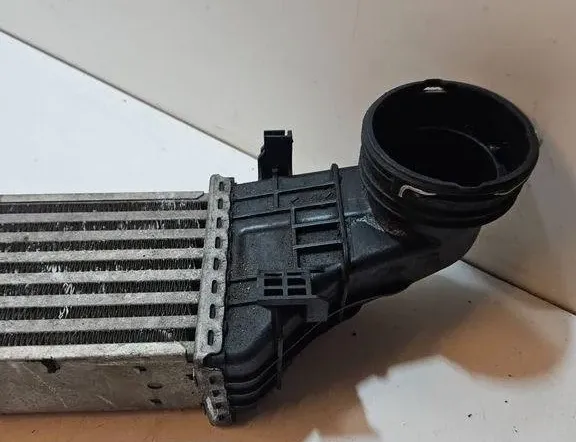 MERCEDES-BENZ E-Class W211/S211 (2002-2009) Feltöltőlevegő-hűtőrács A2115001102 31061295