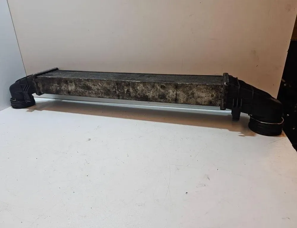 MERCEDES-BENZ E-Class W211/S211 (2002-2009) Feltöltőlevegő-hűtőrács A2115001102 31061561