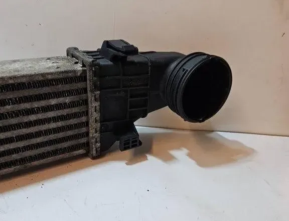 MERCEDES-BENZ E-Class W211/S211 (2002-2009) Feltöltőlevegő-hűtőrács A2115001102 31061848