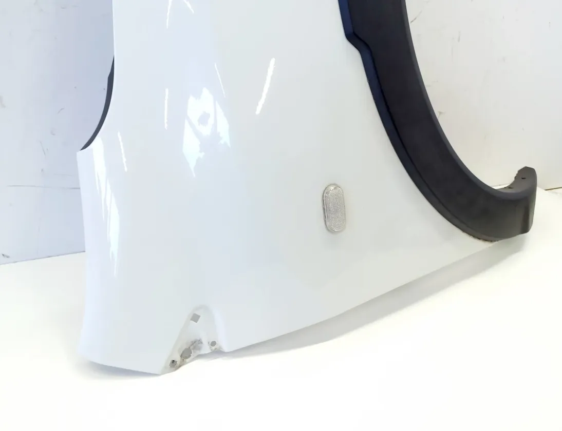 DACIA Lodgy 1 generation (2013-2024) Jobb első sárvédő 260421830R 34828524