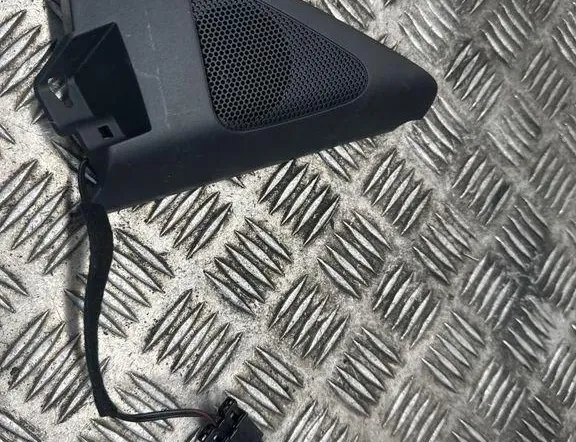 VOLKSWAGEN Tiguan 1 generation (2007-2017) Jobb első ajtó hangfala 5N0035412A 34833016