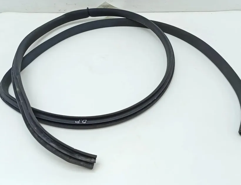 LEXUS LS 3 generation (2000-2006) Front Right Door Seal Rubber 30247481