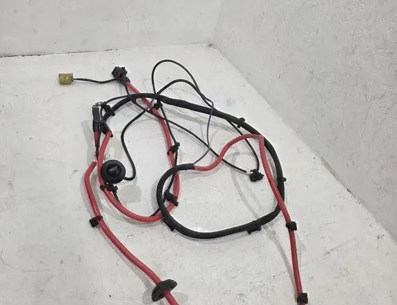 BENTLEY Continental Negative Battery Cable 34139165