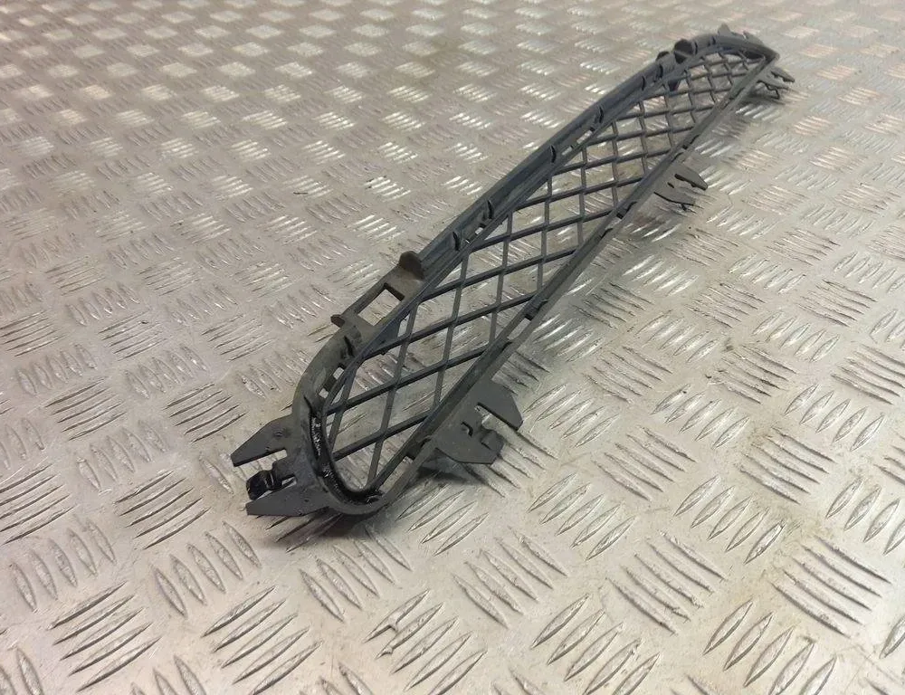 BMW X3 F25 (2010-2017) Front Bumper Lower Grill 7210466 31012804