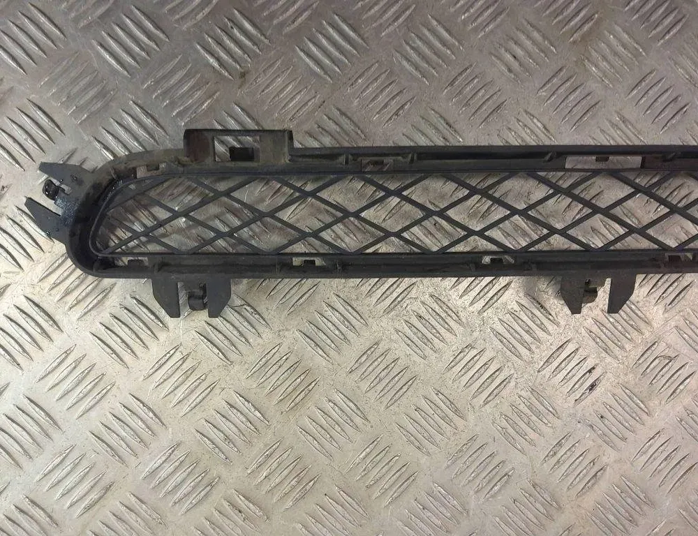 BMW X3 F25 (2010-2017) Front Bumper Lower Grill 7210466 31012804
