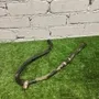 MERCEDES-BENZ E-Class W213/S213/C238/A238 (2016-2024) Coolant Hose Pipe A2135015802,DBL625416,18566687 33959189