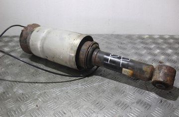 LAND ROVER Discovery 4 generation (2009-2016) Front right pneumatic shock absorber 22245459,L319 32917404