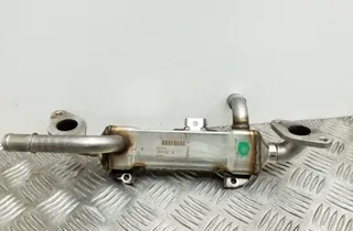 SEAT Alhambra 1 generation (1996-2010) Охладитель Eгр 038131513L 34732922