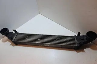 MERCEDES-BENZ E-Class W211/S211 (2002-2009) Feltöltőlevegő-hűtőrács A2115001102 31061561