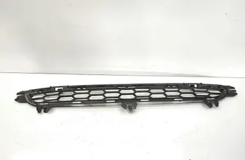 BMW X3 F25 (2010-2017) Нижняя решетка переднего бампера 8048096 33637417