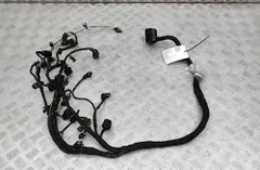 SKODA Kamiq 1 generation (2019-2023) Жгут проводов двигателя 04C972627AG 33724304