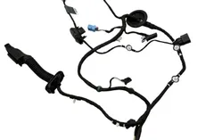 AUDI Q2 1 generation (2016-2024) Дверные кабели передние левые TAB026205AQ, 81A971029AK, 17032023 34145675