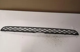 BMW X5 E70 (2006-2013) Нижняя решетка переднего бампера 105034,51117159597 27034381