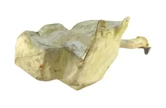 OPEL Vectra C (2002-2005) Ablakmosó tartálya 551020356 28789058