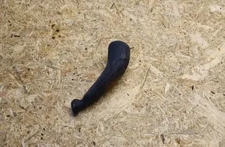 VOLKSWAGEN Passat B4 (1993-1997) Belső hátulsó visszapillantó tükör 27162508