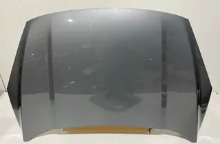 FORD Kuga 3 generation (2019-2023) Bonnet LV4BS16854 34271281