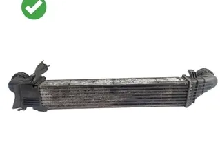 MERCEDES-BENZ E-Class W211/S211 (2002-2009) Feltöltőlevegő-hűtőrács A2115001102,A6356 34316583