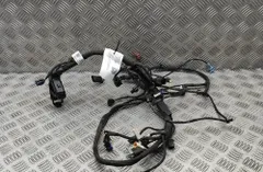 HARLEY-DAVIDSON MC PAN AMERICA/SPECIAL Kábelköteg 69201899A 33114861