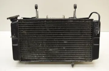 SUZUKI DL Hűtőrács 33155553