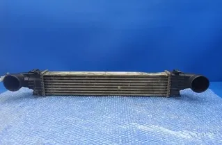 MERCEDES-BENZ E-Class W211/S211 (2002-2009) Feltöltőlevegő-hűtőrács A2115001102 21209917