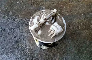 NISSAN Primera P12 (2001-2008) Üzemanyag-szivattyú 32543066