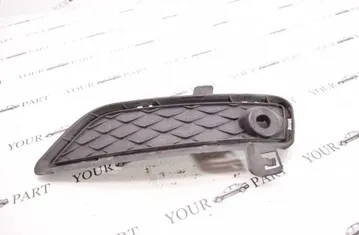 BMW X3 F25 (2010-2017) Нижняя решетка переднего бампера 7249596 31000043