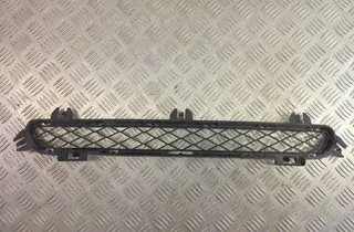 BMW X3 F25 (2010-2017) Нижняя решетка переднего бампера 7210466 31012804