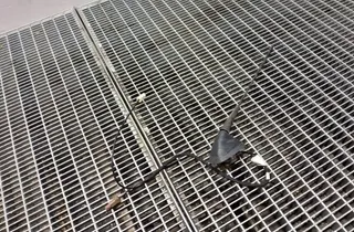 DACIA Sandero 2 generation (2013-2020) Antenna 282179393R 33401537