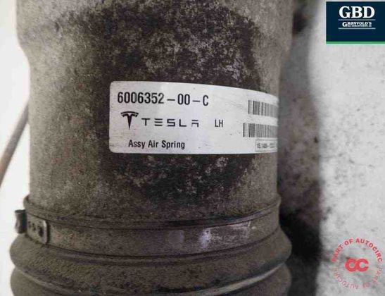 TESLA Model S 1 generation (2012-2024) Air Spring 6006352-00-c 30878130