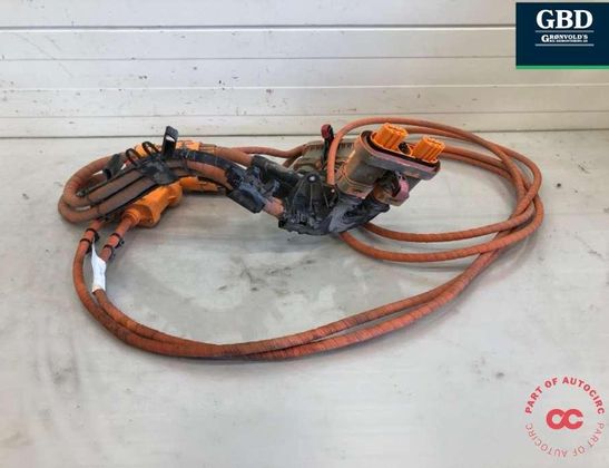 VOLKSWAGEN ID.4 1 generation (2020-2023) High-voltage Ignition Wire (plug wire) 1ea971013l 32986796