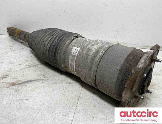 TESLA Model S 1 generation (2012-2024) Air Spring 6006352-00-c 30857513