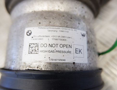 BMW 7 Series G11/G12 (2015-2023) Front left pneumatic shock absorber R308616971,77687755303,F308616901,6877553 32820861