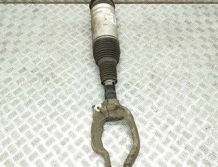 LAND ROVER Discovery 5 generation (2016-2024) Front left pneumatic shock absorber HY32-3C286-BC 32781119